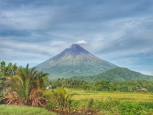 mayon